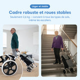 Chariot de courses