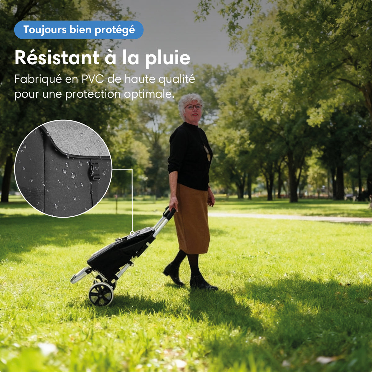 Chariot de courses