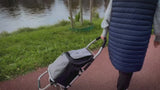 Einkaufstrolley