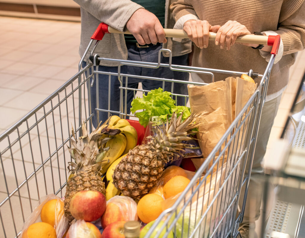 boodschappentrolley grote capaciteit